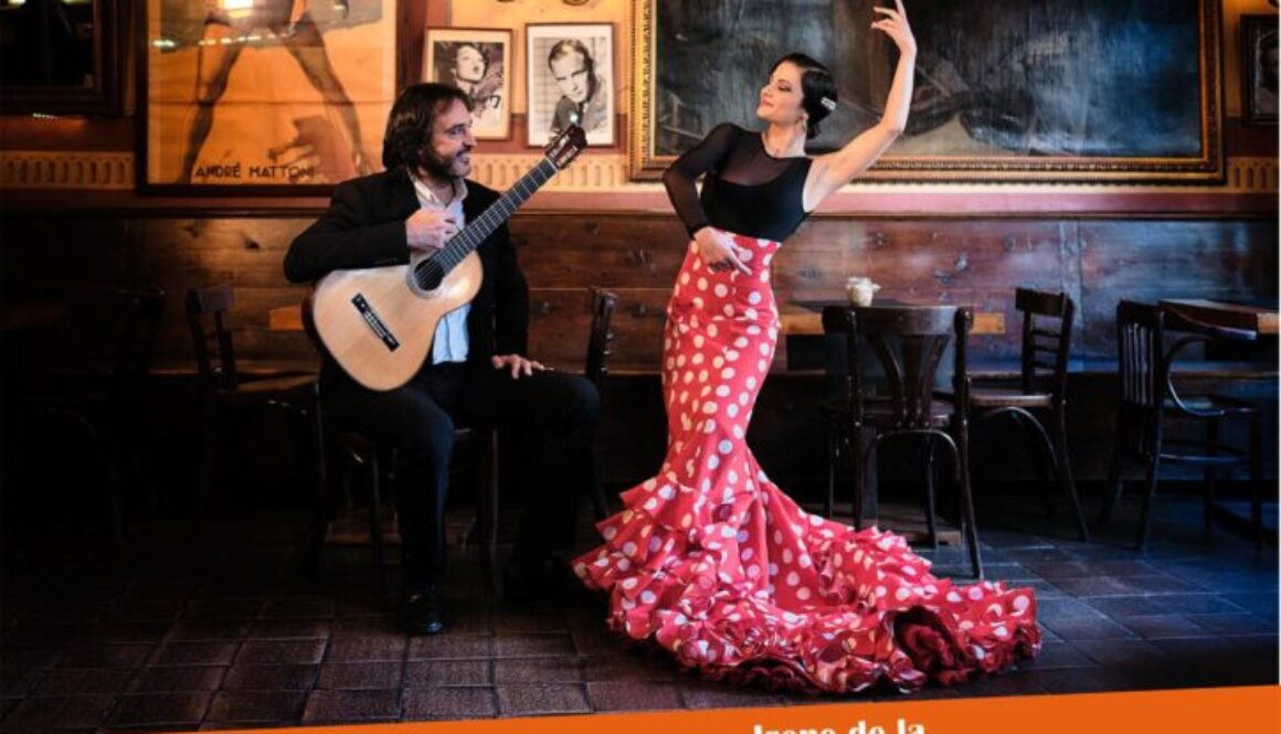 Cartel 13 de Noviembre