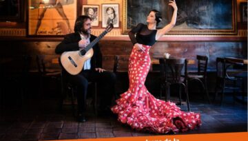 Cartel 13 de Noviembre