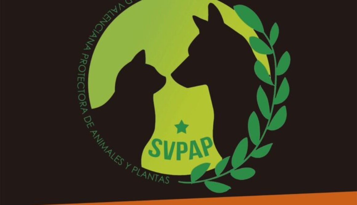 Cartel 11 de Diciembre