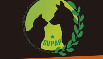 Cartel 11 de Diciembre