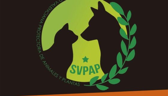 Cartel 11 de Diciembre