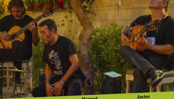 Cartel 29 y 30 de Julio 2020