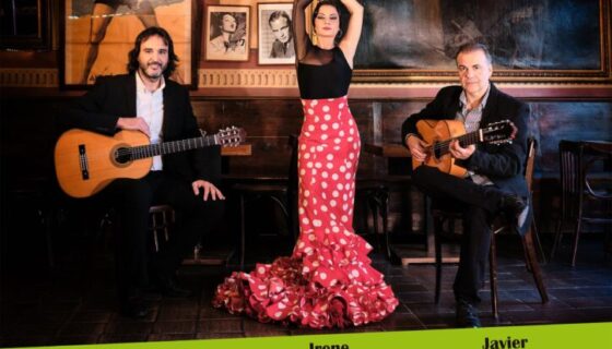 Cartel 8 y 9 de Julio 2020