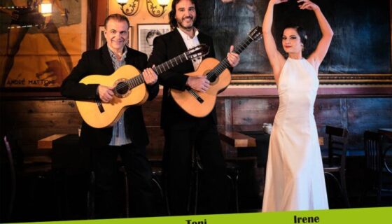 Cartel 11 y 13 de Agosto 2020