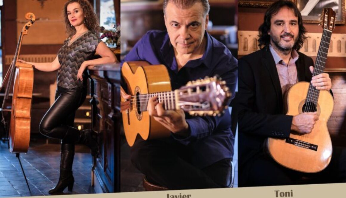 Cartel 12 de Noviembre 2020