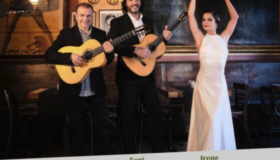 Cartel 17 de Diciembre 2020