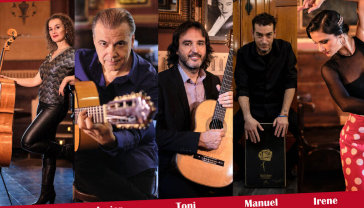 11dic_Flamenco_CasaCultura_SantaPola REDES