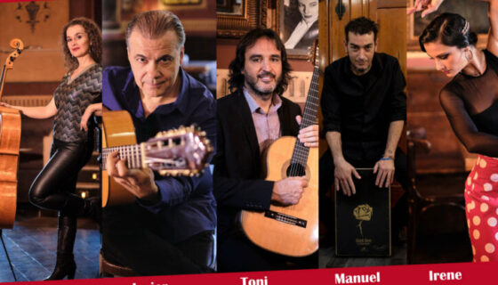 11dic_Flamenco_CasaCultura_SantaPola REDES