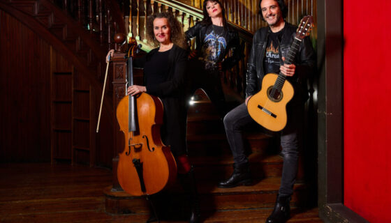 MEDITERRANEANGUITAR0251