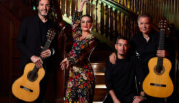 PROPUESTA FLAMENCO - GUITARRAS DEL MEDITERRANEO CON IRENE