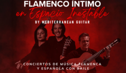 banner-inestable